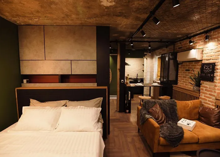 Bear\'S Apartment Studio Alba Iulia